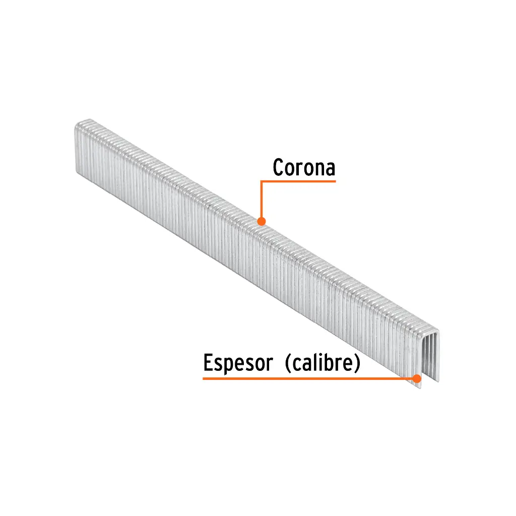GRANEU-1-4-13+FC2.webp