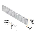 GRANEU-1-4-19+FC1.webp