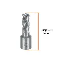 CTAMA-1-2+FC2.webp