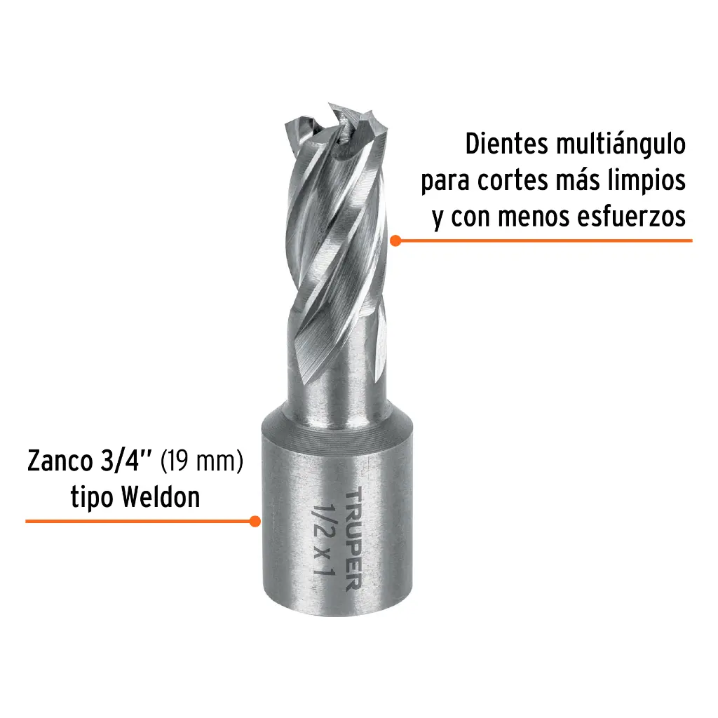 CTAMA-1-2+FC1.webp