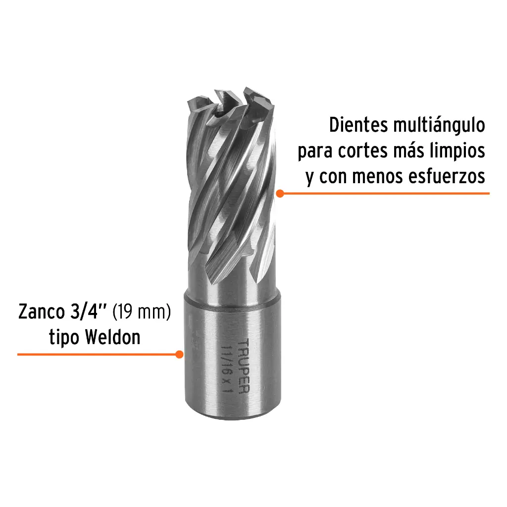 CTAMA-11-16+FC1.webp