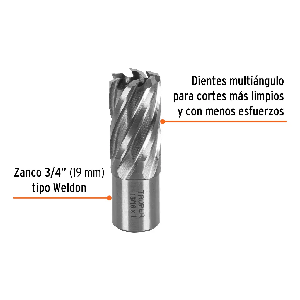 CTAMA-13-16+FC1.webp