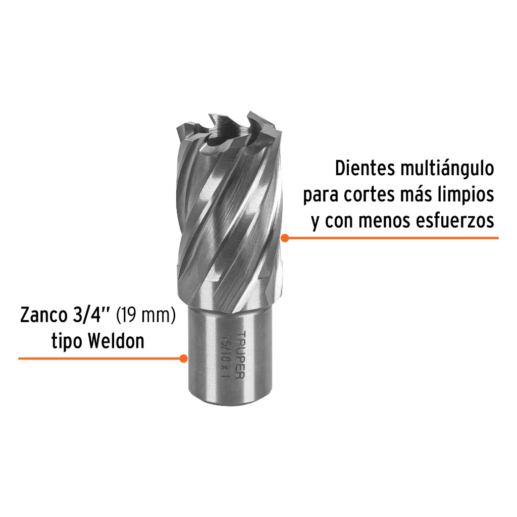 CTAMA-15-16+FC1.webp