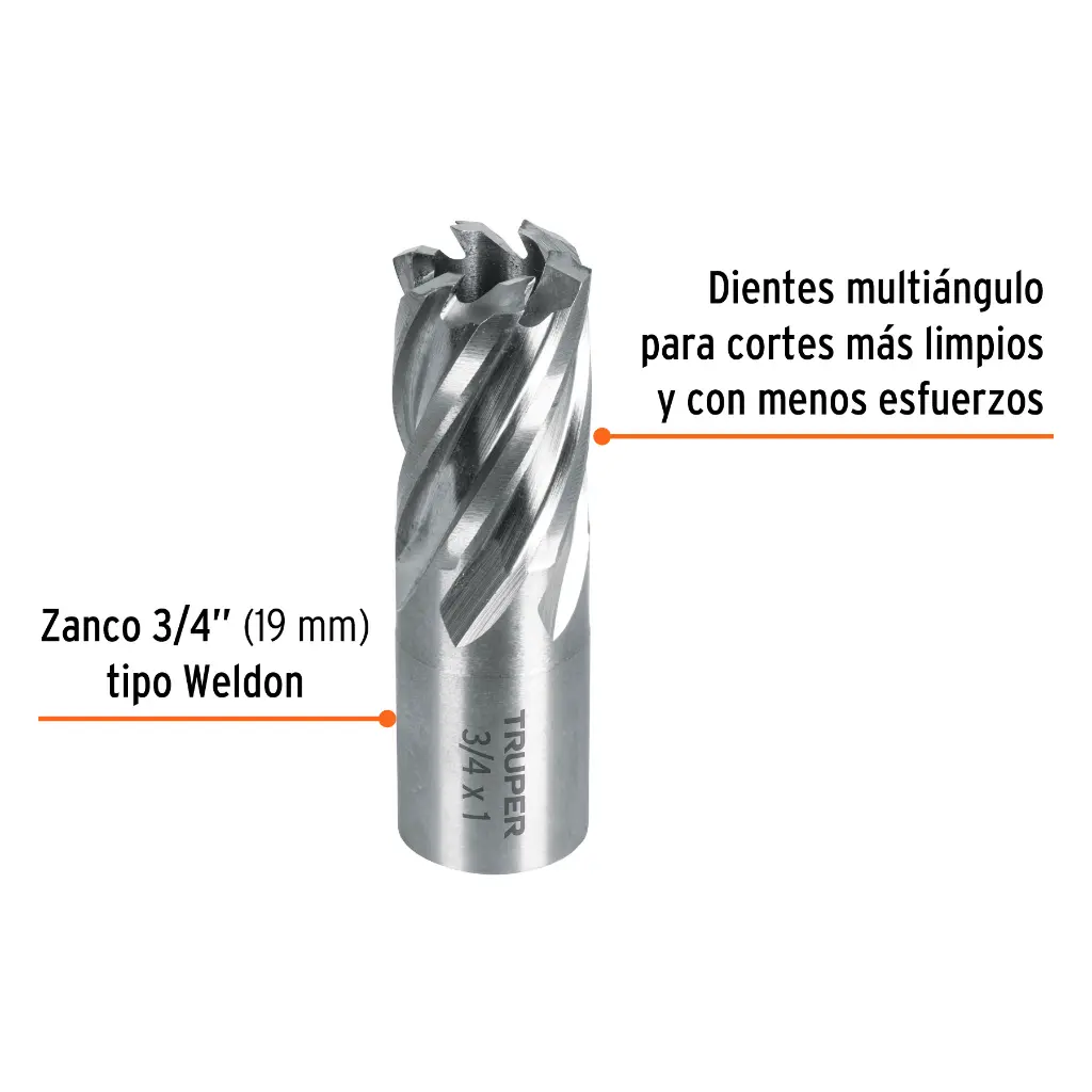 CTAMA-3-4+FC1.webp