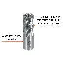 CTAMA-3-4+FC1.webp