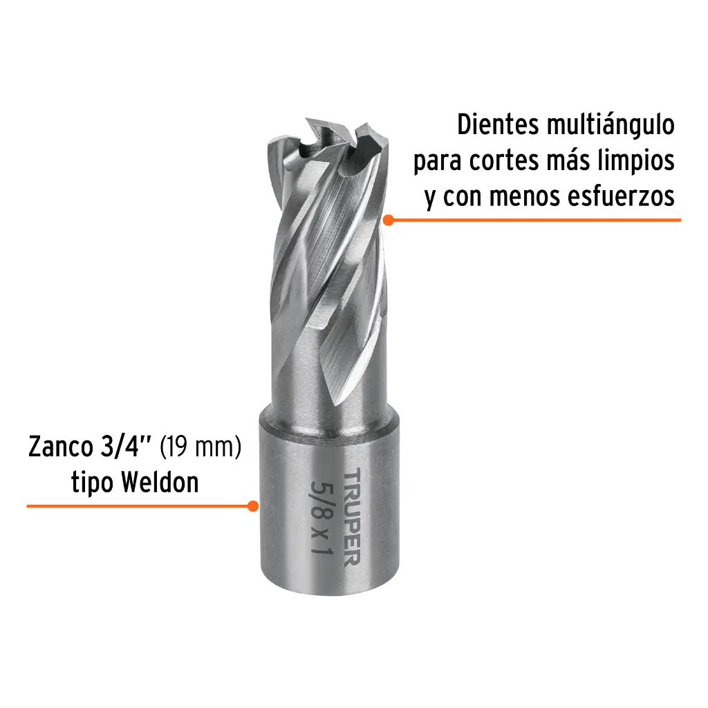 CTAMA-5-8+FC1.webp