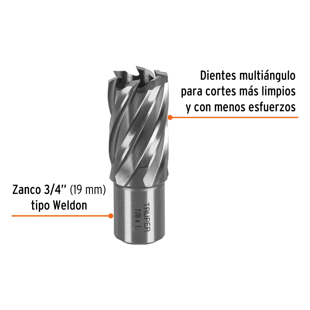 CTAMA-7-8+FC1.webp