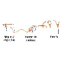 INCO-100+D2.webp
